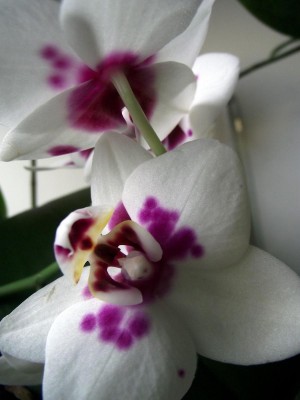 Bild 019.jpg