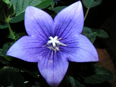 PICT0002.JPG