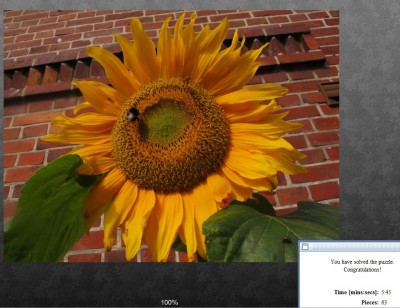 jigsaw1.jpg
