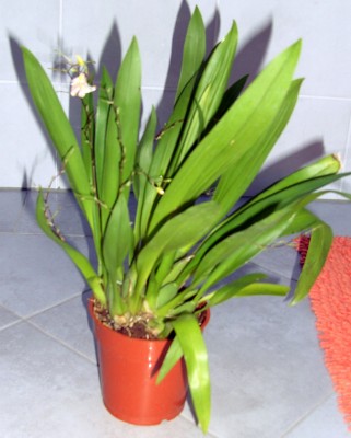 BILD8885.JPG