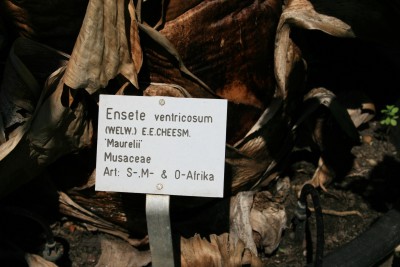 enseteschild.jpg