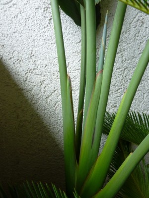 P1050046.JPG