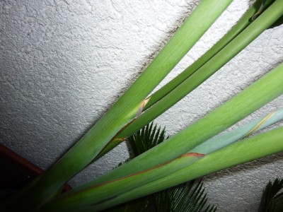 P1050042.JPG