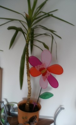 P1080083.JPG