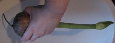 Bild 204.jpg