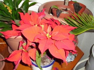 image00810.jpg
