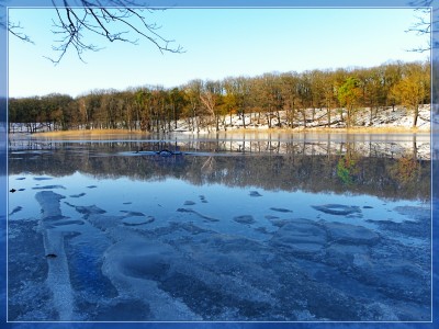 2011-01-08 831green.jpg