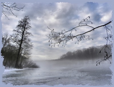 2011-01-08 401green.jpg