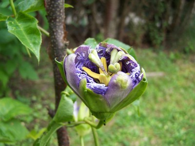 Bild 009.jpg