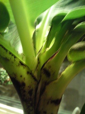 Foto005-1.jpg