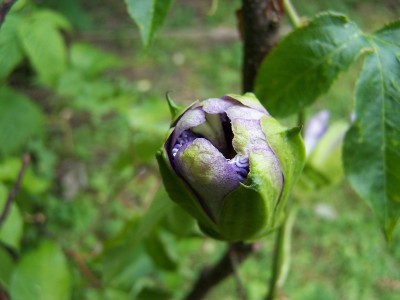 Bild 006.jpg