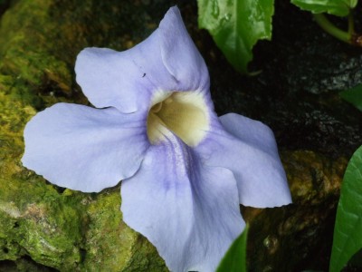 DSCF0226.JPG