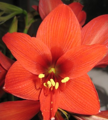 20110102_0001_2.JPG