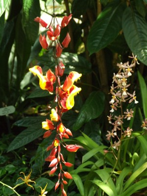 DSCF0170.JPG