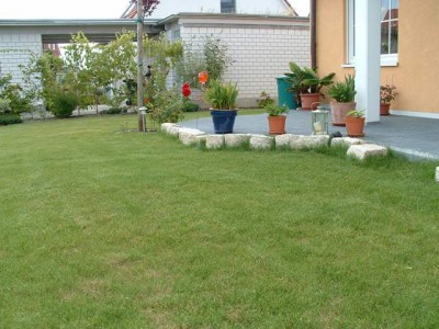 DSCF0264.JPG