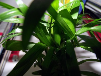 Bild24.12. 009.jpg
