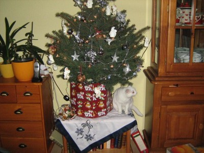 IMG_1775.jpg