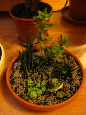 Bild 071 [1600x1200].jpg