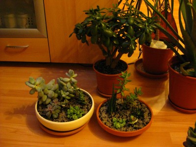 Bild 069 [1600x1200].jpg