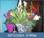 20110112-115157-813.jpg