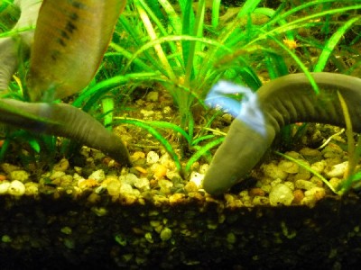 06.2008 (13)_600x600_100KB.jpg