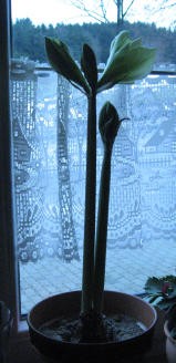 Bild 7.1.11 030.jpg