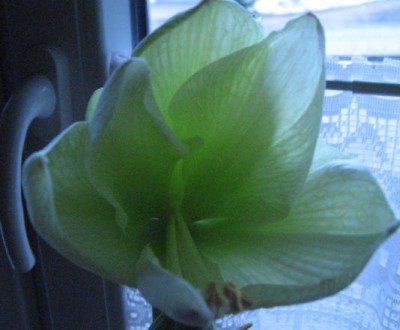 Bild 7.1.11 026.jpg