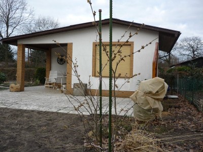 Zaubernuss 16.01 (5)_800x800_400KB.jpg