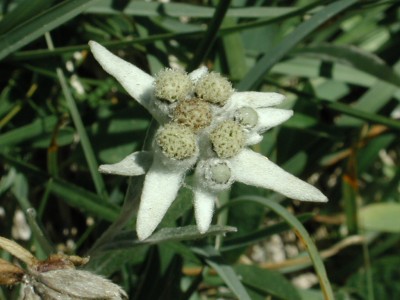 dscn2089.jpg