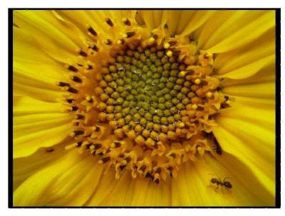 Vogelfutter endlich fertig.JPG