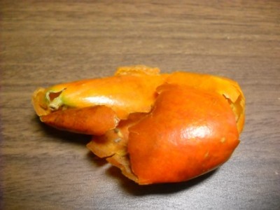 DSCN4109.JPG