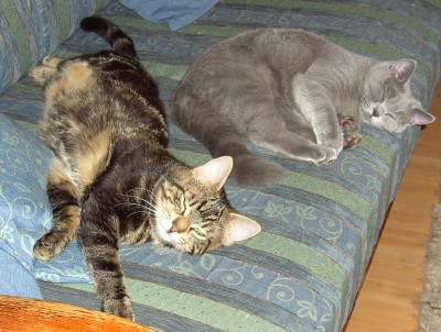 Jani und Balu8913.jpg