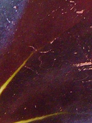 Ausschnitt Januarrätsel 20.01.2011.jpg