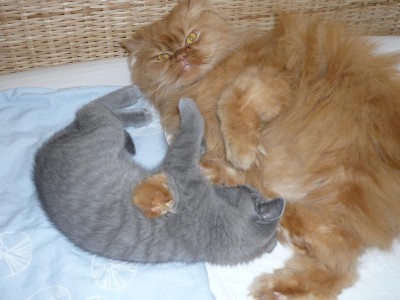 Lolek&amp;Felix (102).JPG