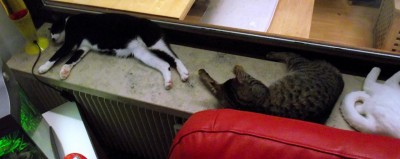Bild24.12. 001.jpg