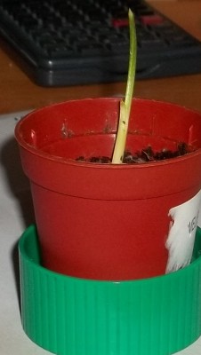 100_0002.JPG