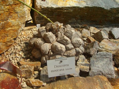 100D0662.JPG