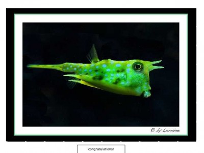 22.01.- Lorraine leicht.jpg