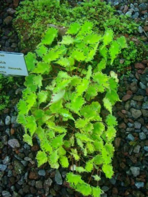 100D0608.JPG