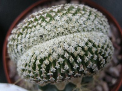 DSCN5831.JPG