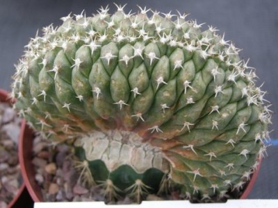 DSCN5830.JPG