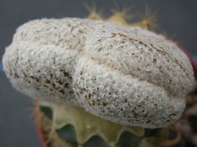 DSCN5828.JPG