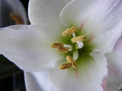 20110123 011.JPG