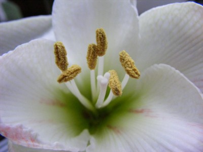 20110123 005.JPG