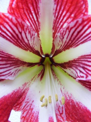 20110123 002.JPG