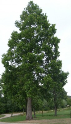 S7300057.JPG