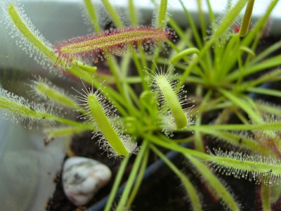 S1030467.JPG