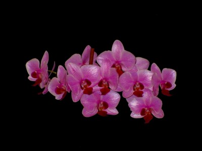 IMG_0170 - bearbeitet.JPG