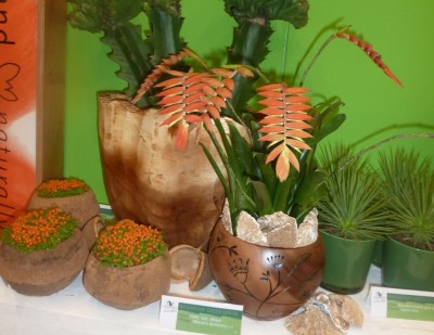 P1000550.JPG