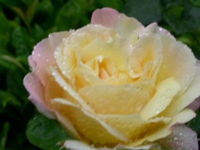 PICT0147.JPG